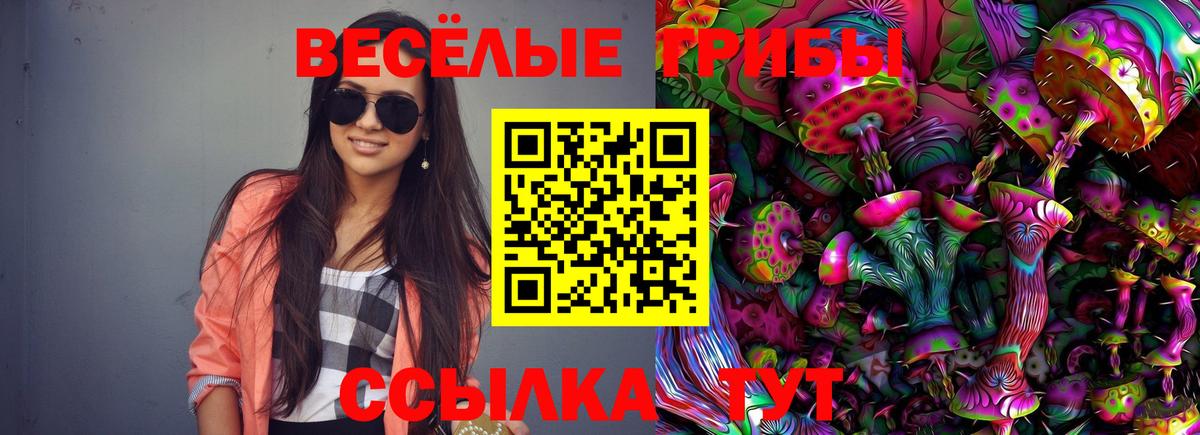 Псилоцибиновые грибы прущие грибы  Псилоцибиновые грибы Psilocybine cubensis  хочу   Тайшет  Вход с VPN 
